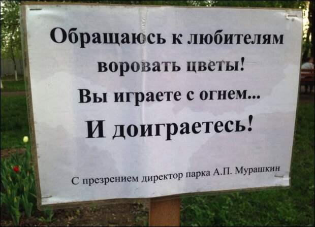 Прикольные надписи и объявления  надписи, объявления, юмор
