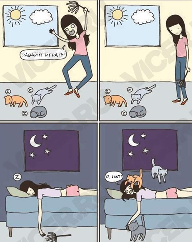 кошачья логика (5)