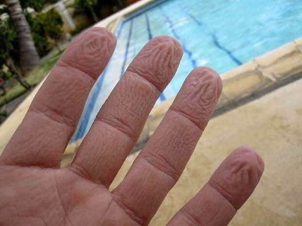 Бррр-фотографии Things That Are Inexplicably Uncomfortable 11 Бррр фотографии