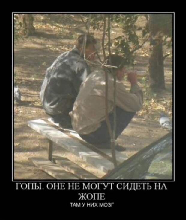 Демотиваторы свежие.