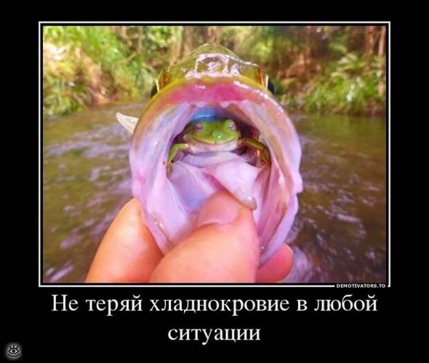 Спасибо женщинам за эволюцию! 23