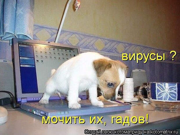 image (604x453, 238Kb)