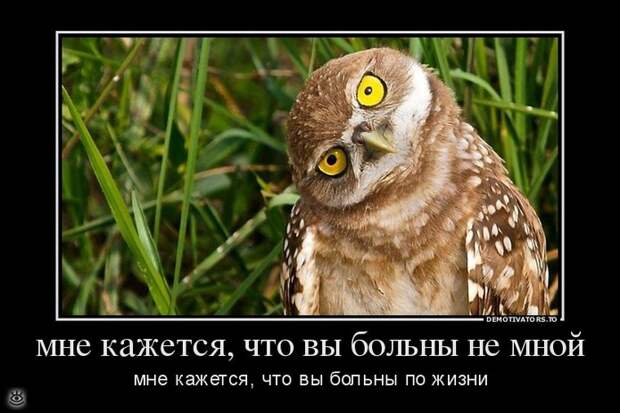 Демки заказывали? 2