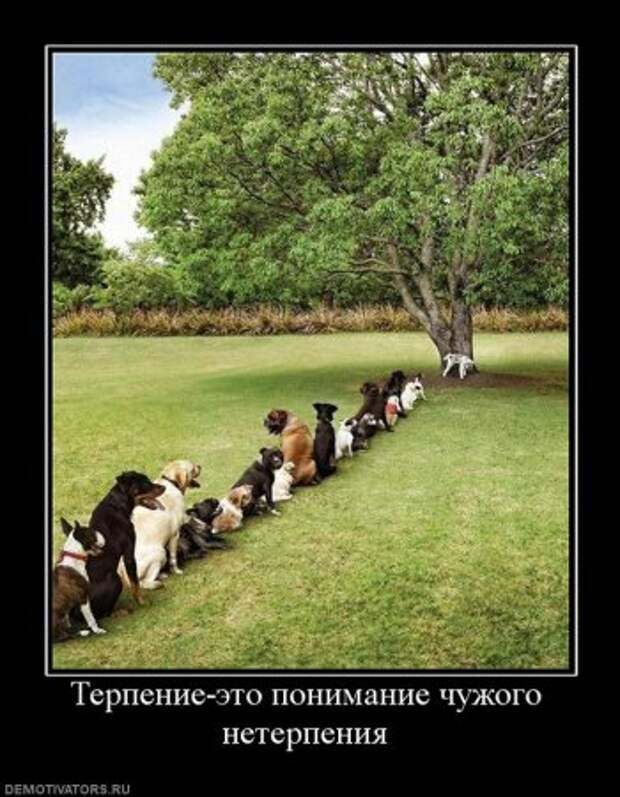 Демотиваторы, они прикольные, других и не держим.