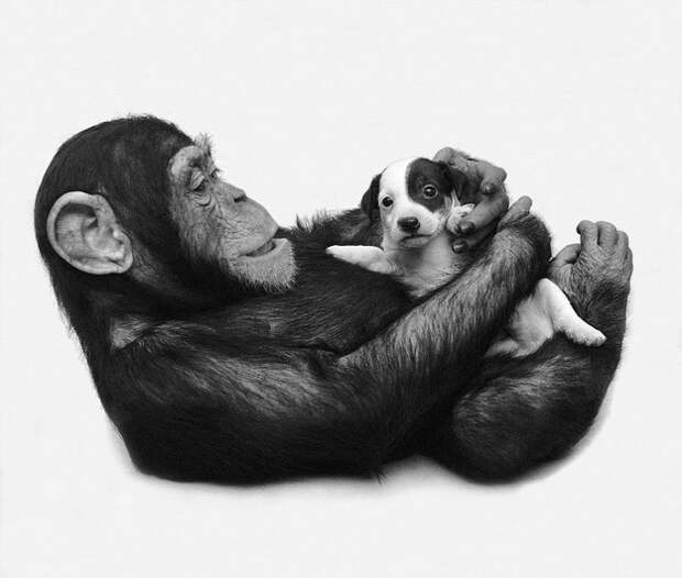 enhanced-buzz-5367-1380294489-10