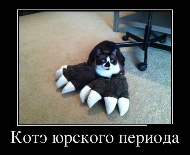 Демотиваторы Демотиваторы демотиваторы, юмор