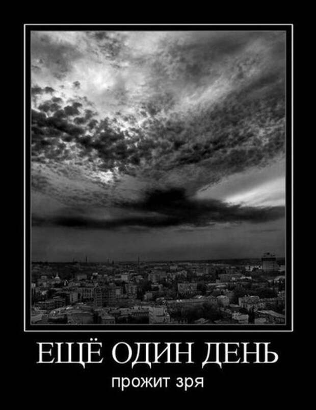 Демотиваторы от 290311 (23 шт.)