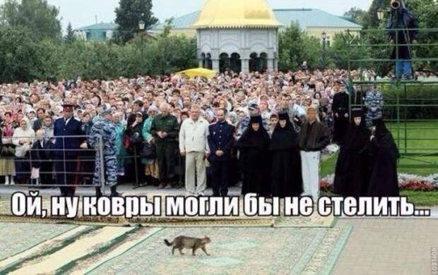 Прикольные фотомемы (30 шт)