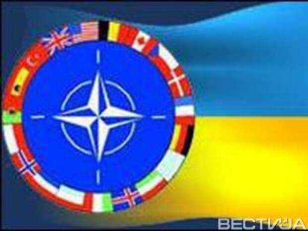 Если Украина попросит, то НАТО продаст ей оружие Если Украина попросит, то НАТО продаст ей оружие