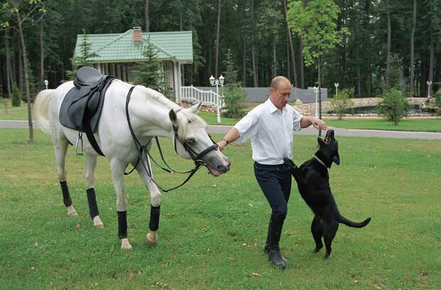 С лабрадором Кони после конной прогулки в загородной резиденции Ново-Огарево, 26 июля 2003 года Владимир Родионов/ТАСС
