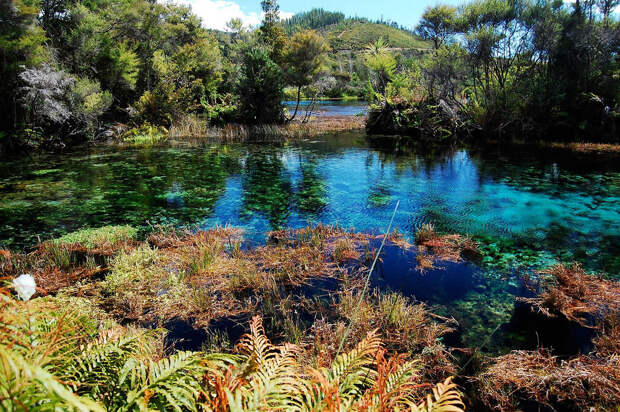 29.  Озеро Пупу Спрингс, Новая Зеландия в мире, вода, планета