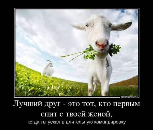 Прикольные демотиваторы с надписями. Подборка chert-poberi-dem-chert-poberi-dem-50520217102020-16 картинка chert-poberi-dem-50520217102020-16