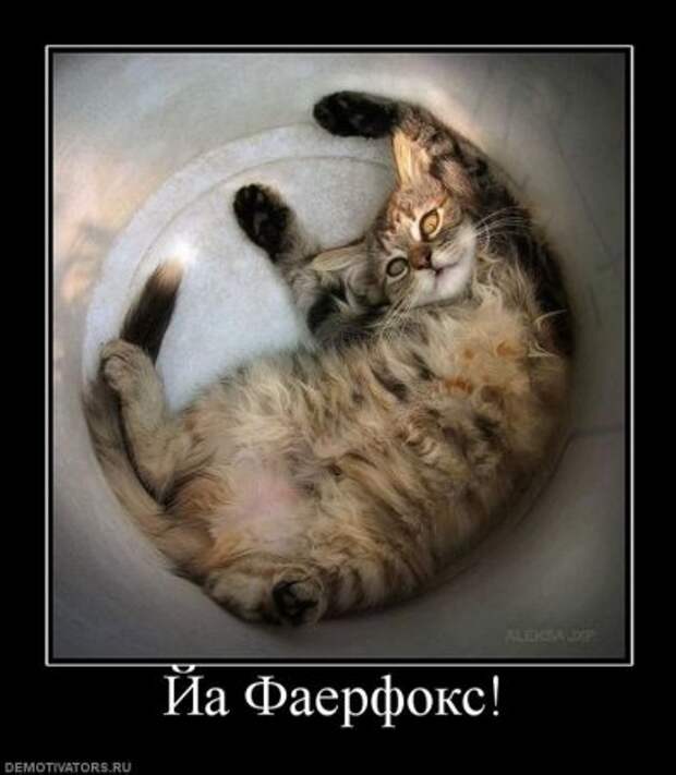 Демотиваторы без мата.