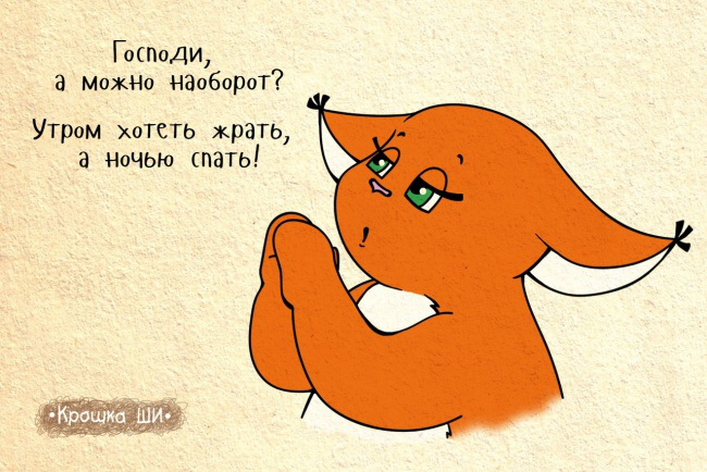 мир глазами белки, Крошка Ши 