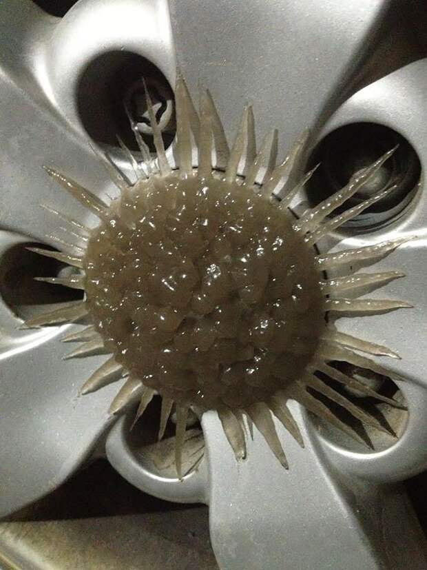 замерзшие машины