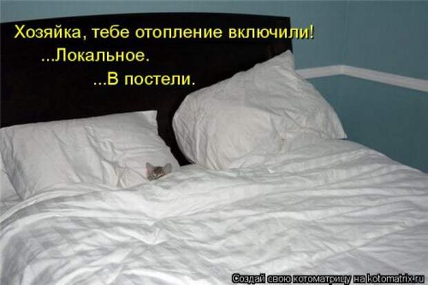 Свежая прикольная котоматрица (34 фото)