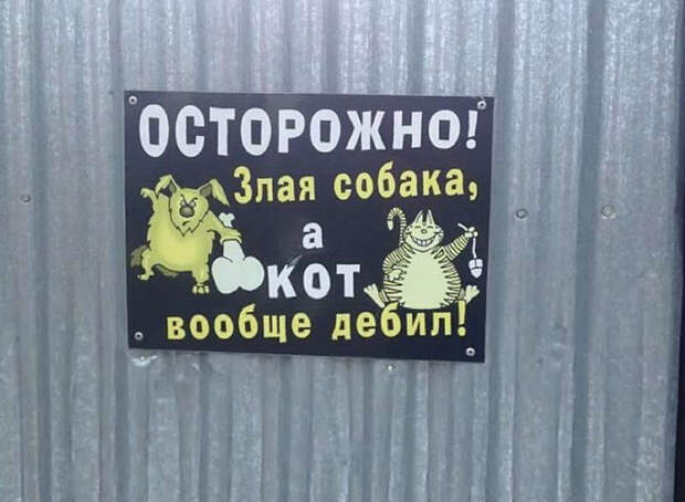 Звучит убедительно: 20 остроумных табличек собака, табличка, юмор