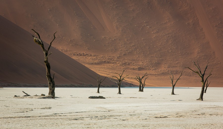 Африка. Намибия. Пустыня Намиб Соссусфлей Sossusvlei10 Африка. Намибия. Пустыня Намиб Соссусфлей