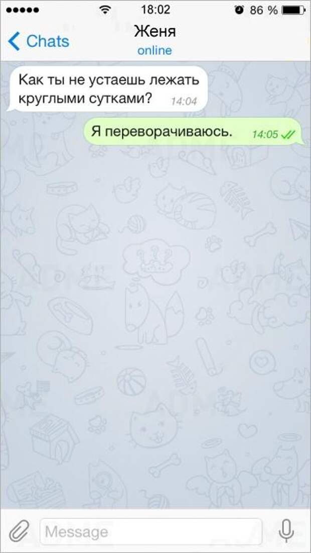 15 СМС от людей с бесценным жизненным опытом смс, юмор