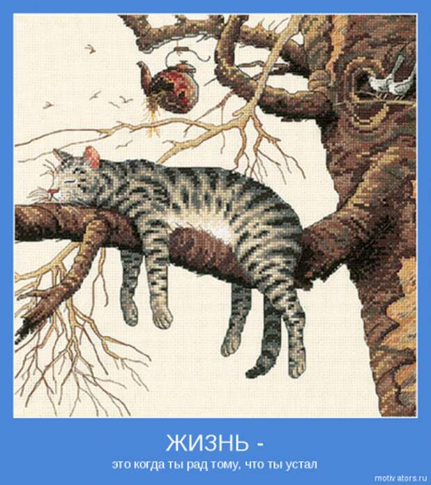 Мотиваторы для раздумий.