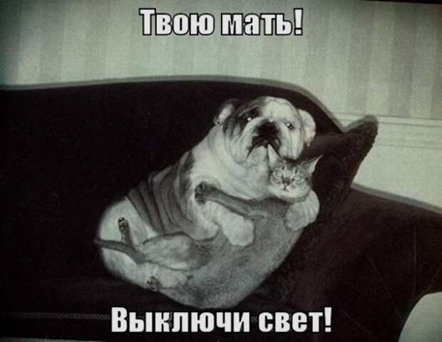 9e04c903a7f6a14b48df983d457_prev