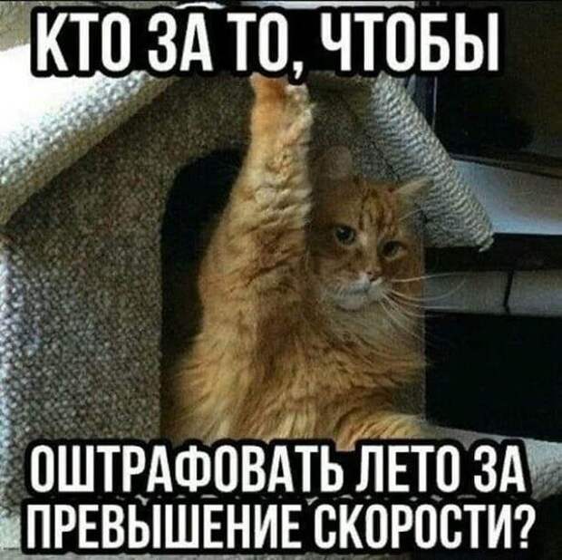 5-19.jpg