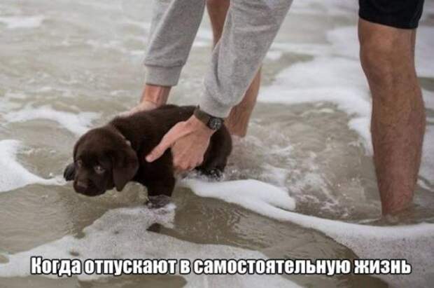 Прикольные картинки с надписями=))