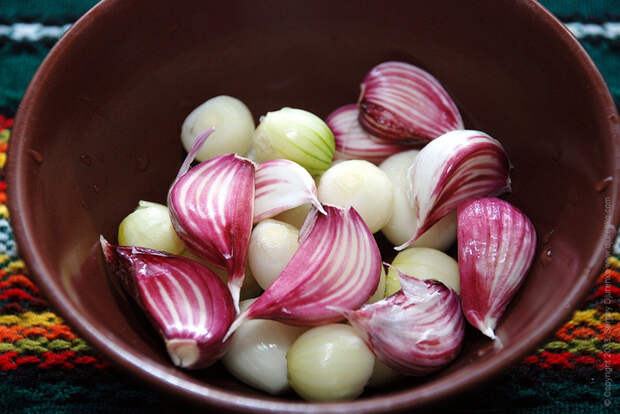 plateau_mackerel_04 (700x468, 359Kb)