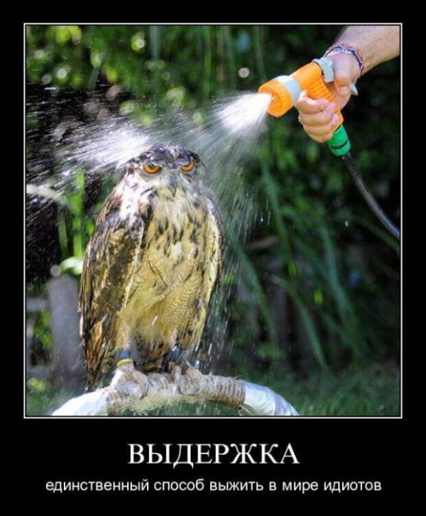 Демотиваторы (30 фото)