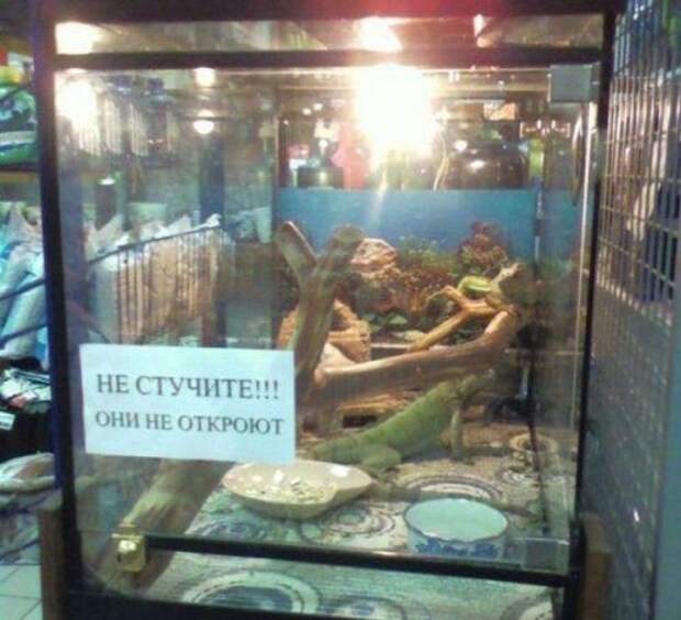 Смешные объявления, вывески и реклама (18 фото)