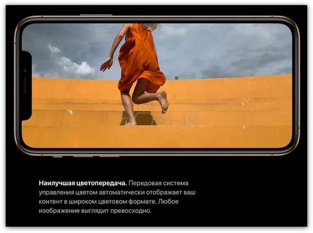 Экран iPhone Xs и iPhone Xs Max