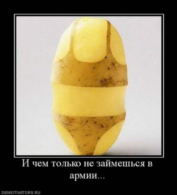 Прикольные Демы