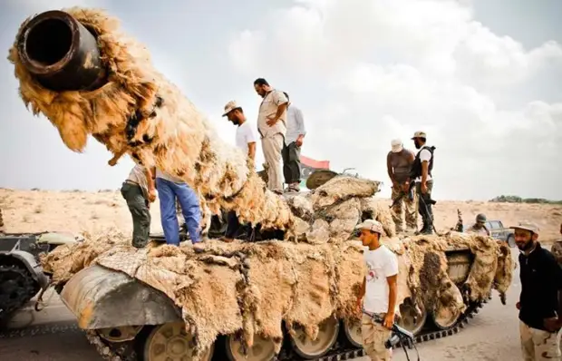 Самый экзотический камуфляж современной военной техники.