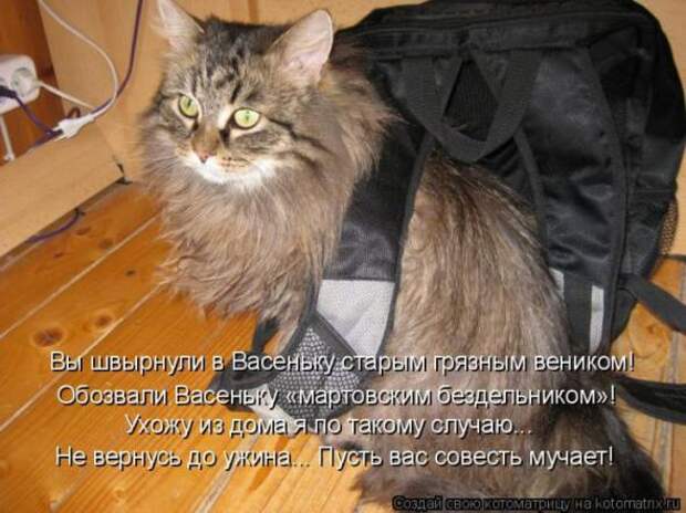 Котоматрицы (картинки с надписями)