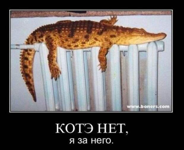 Демотиваторы, подборка прикольных с выдержкой.