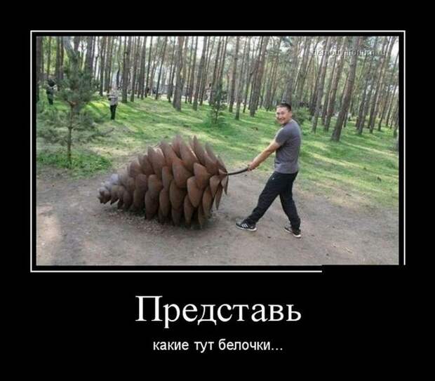 Демотиваторы 09.10.2014 Демотиваторы 09.10.2014