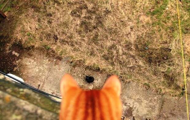 Приколы.