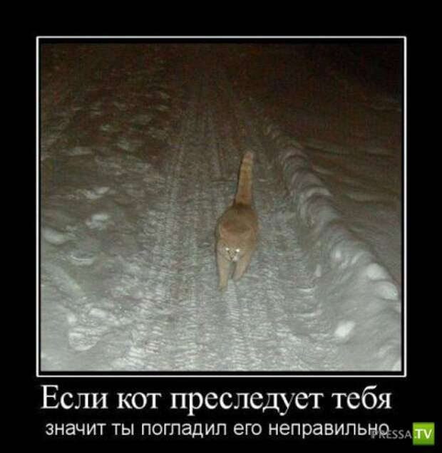 Демотиваторы (29 фото) Демотиваторы (29 фото)