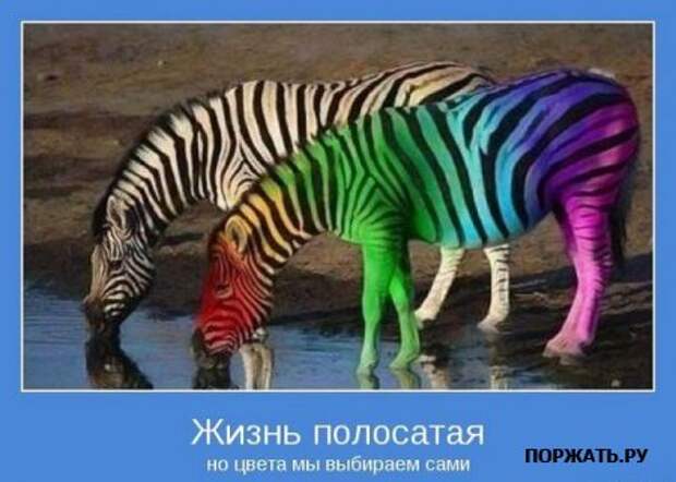 Мотиваторы (21 фото)