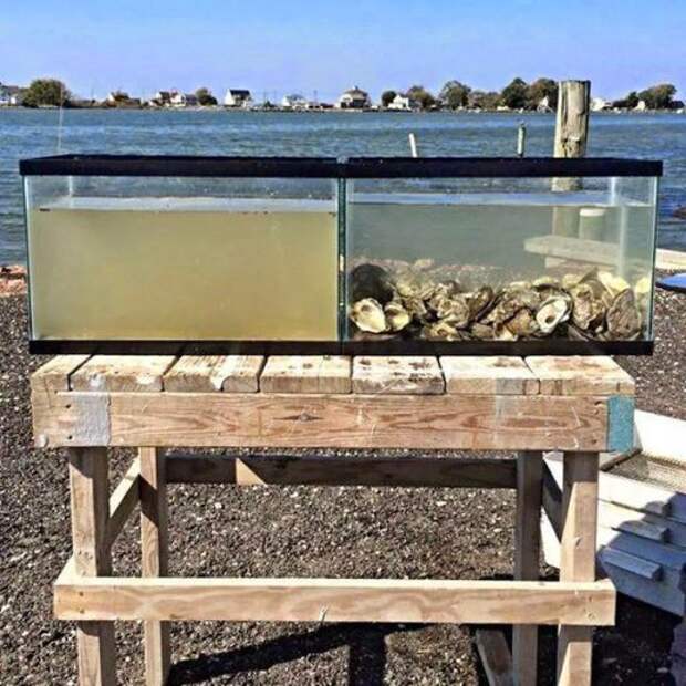 наука, как это устроено 