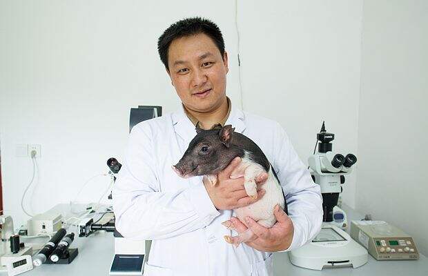 Beijing Genomics Institute
