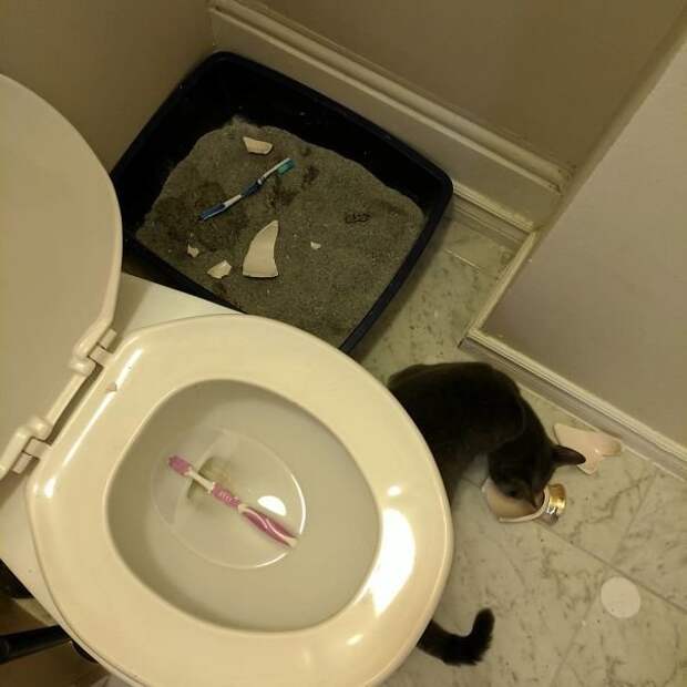 Косяк на косяке и косяком погоняет Косяк на косяке и косяком погоняет