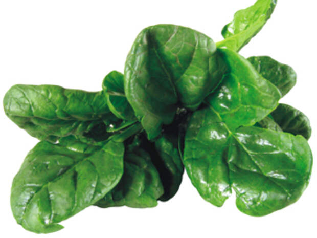 10 продуктов, продлевающих жизнь 10 продуктов, продлевающих жизнь