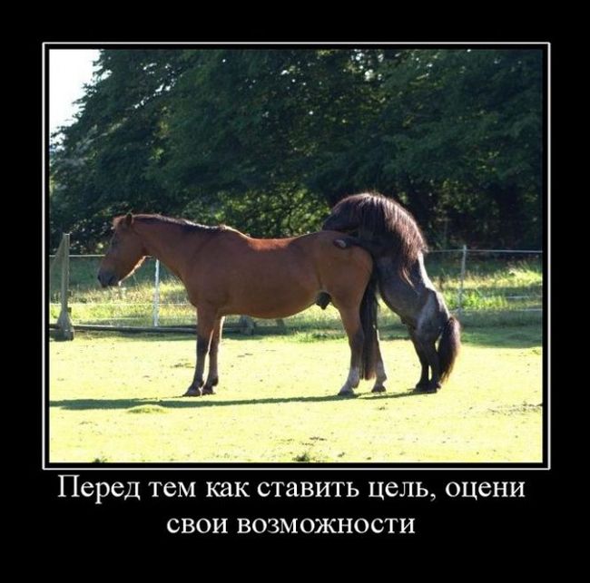 Демотиваторы (30 фото)