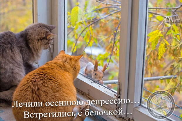 Осенняя депрессия