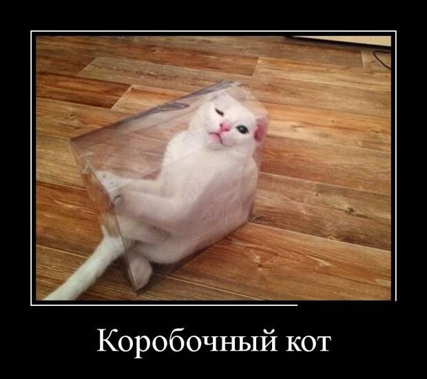 Демотиваторы  демотиваторы, прикол, смех, юмор