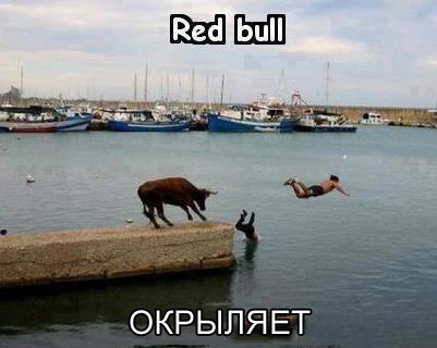 Приколы из соц сетей (25 фото)