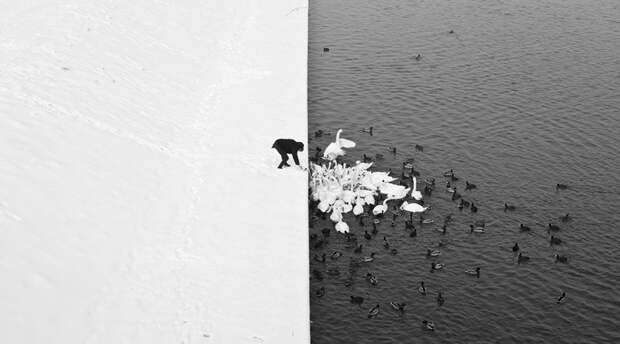 Впечатляющие фотографии 2013 года Впечатляющие фотографии 2013 года красота, люди, мир, природа, снимки