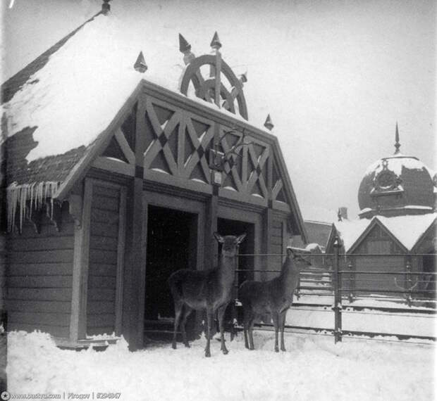Москва 1900-1914 годов в фотографиях Сергея Челнокова Москва 1900-1914 годов в фотографиях Сергея Челнокова Сергей Челноков, архив, история, москва, фото