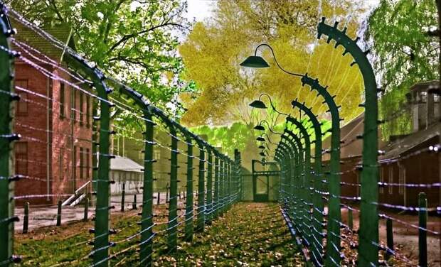 Фашистских лагерей оказалось на 101 больше: генпрокуратура Белоруссии шокировала цифрами